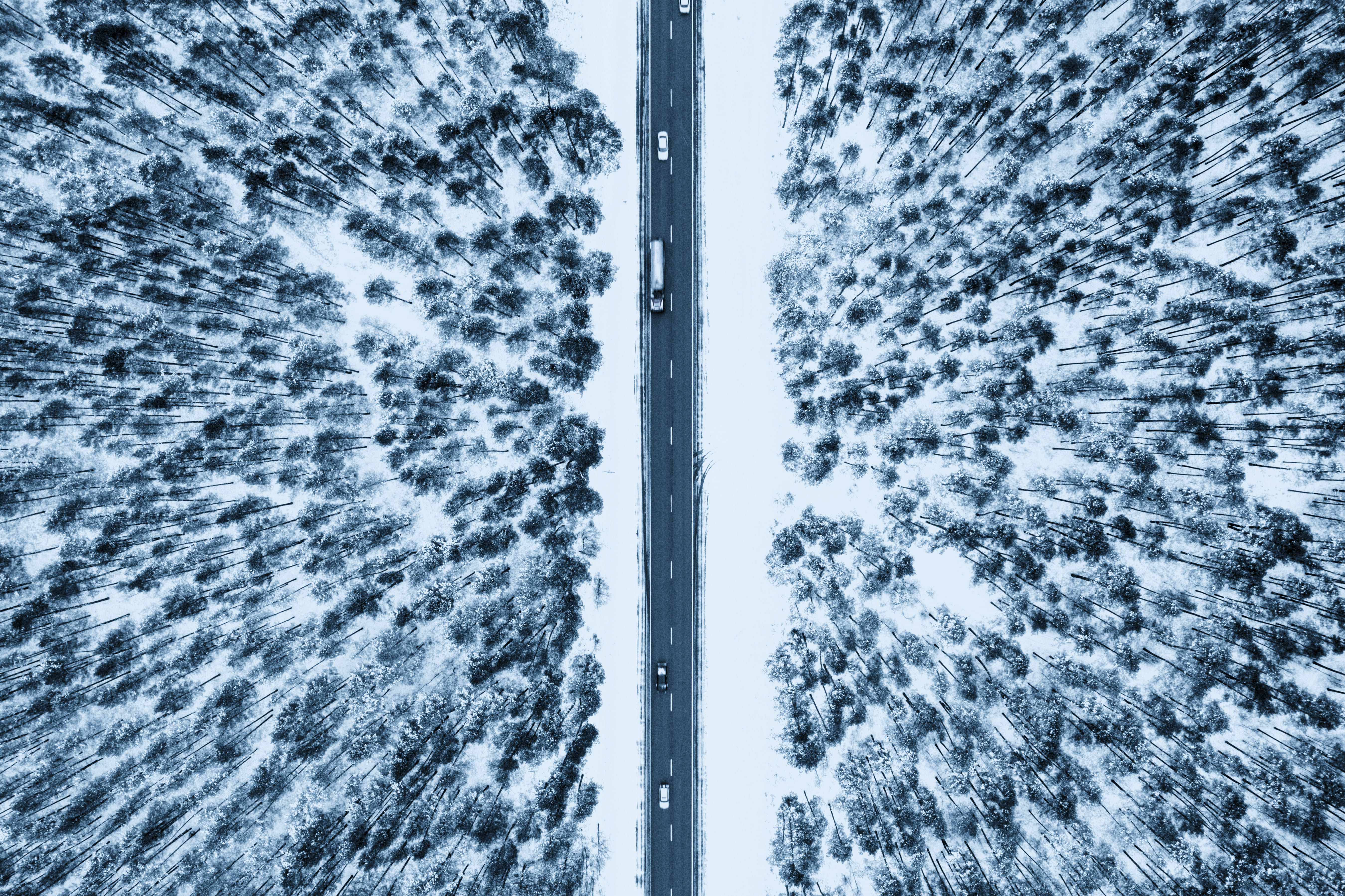 top-view-road-surrounded-by-snow-fir-trees (1).jpg